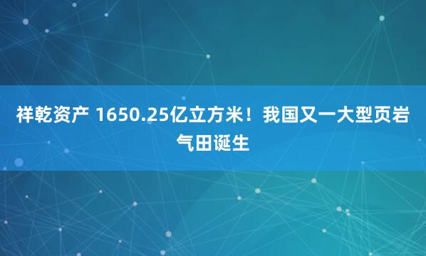祥乾资产 1650.25亿立方米！我国又一大型页岩气田诞生